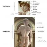 Appearance, character, family relationships