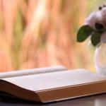 Conditional sentences in English