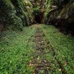 Why do you dream of a railway and a train: meaning and interpretation